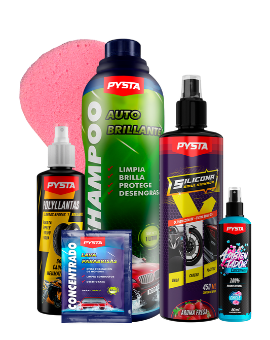 Kit de lavado para auto + Bolsa regalo