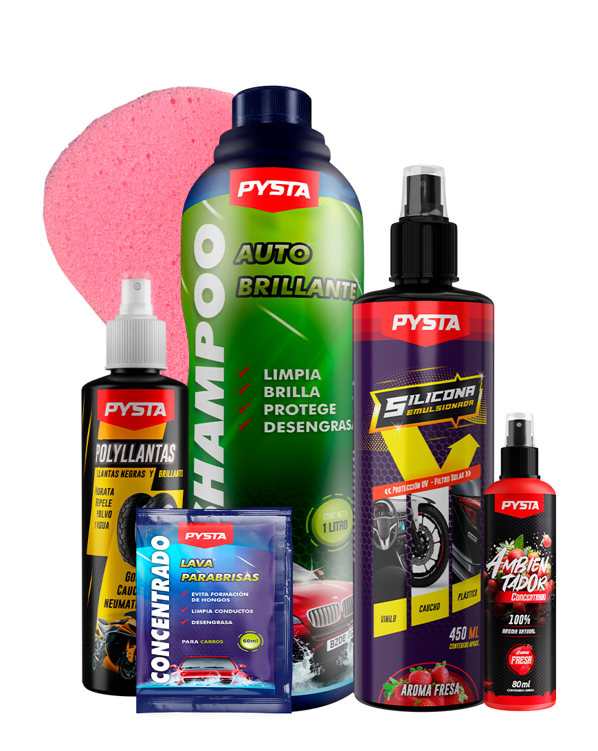 Kit de lavado para auto + Bolsa regalo
